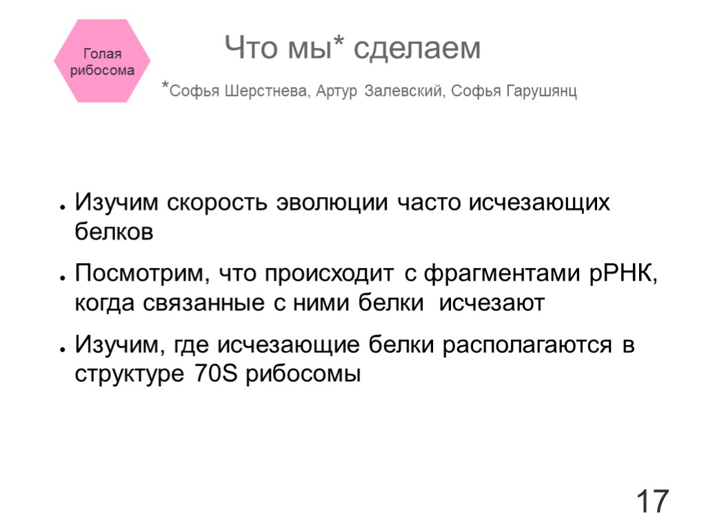 17 Изучим скорость эволюции часто исчезающих белков Посмотрим, что происходит с фрагментами рРНК, когда